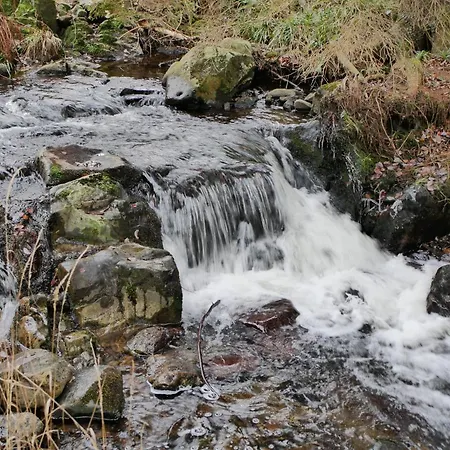 Harz فندق فيرنغروده